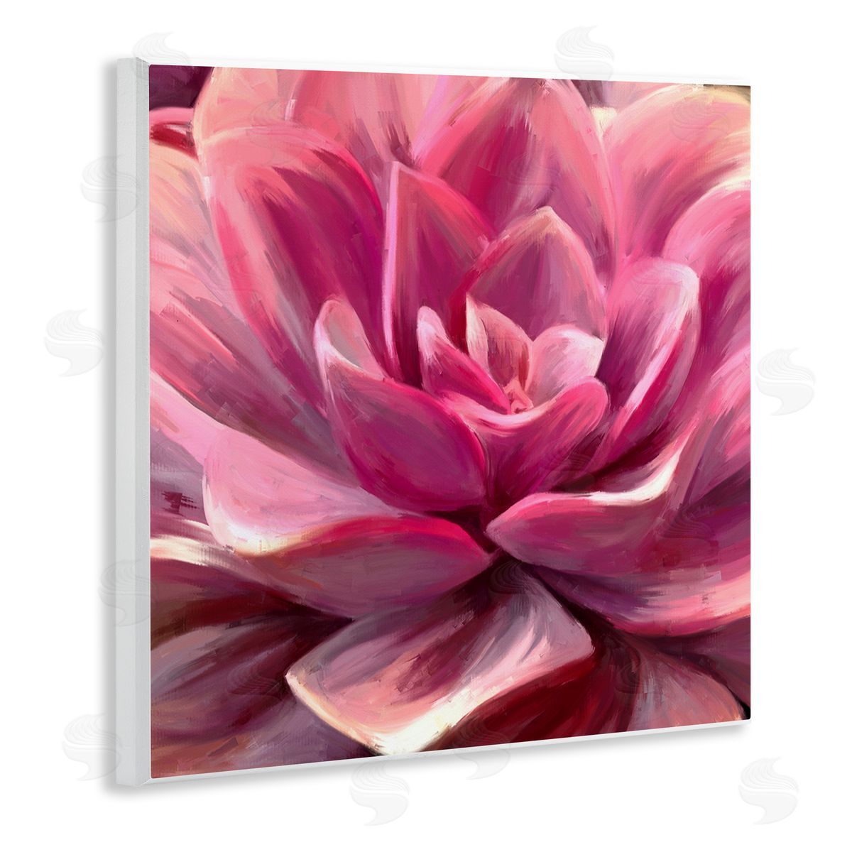 Amy Hall Pink Succulent Leaves Wooden Wall Plaque Art Print