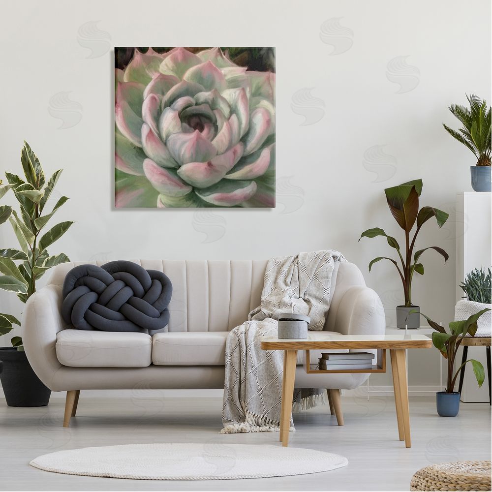 Amy Hall Succulent Leaves Close Up Canvas Wall Art in Room