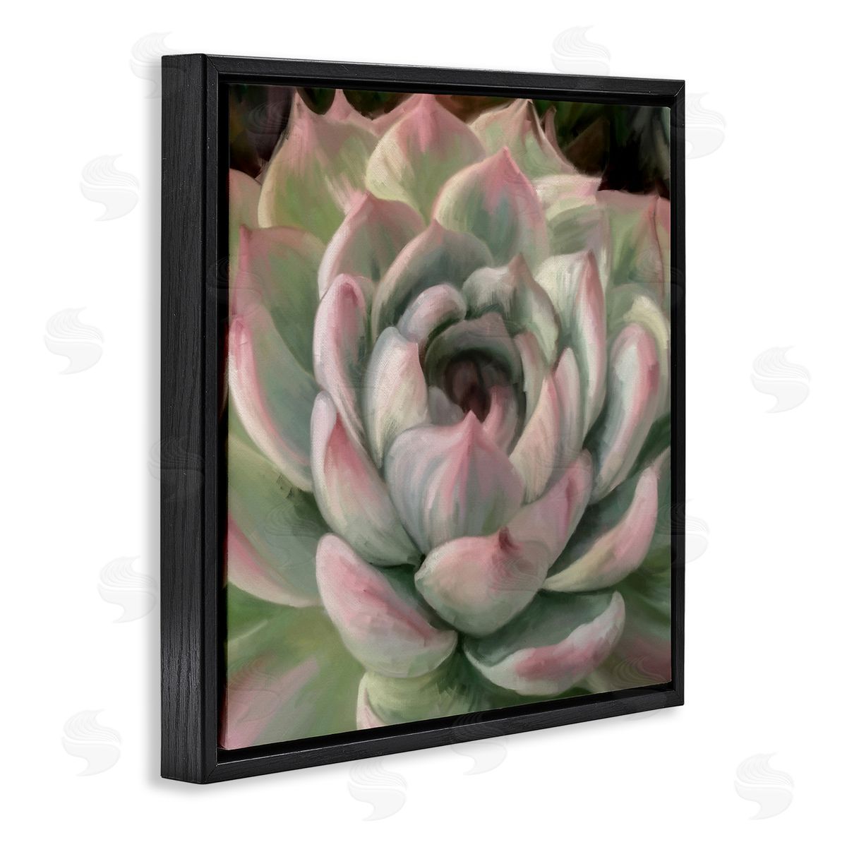 Amy Hall Succulent Leaves Close Up Black Floating Frame Canvas Wall Art Print