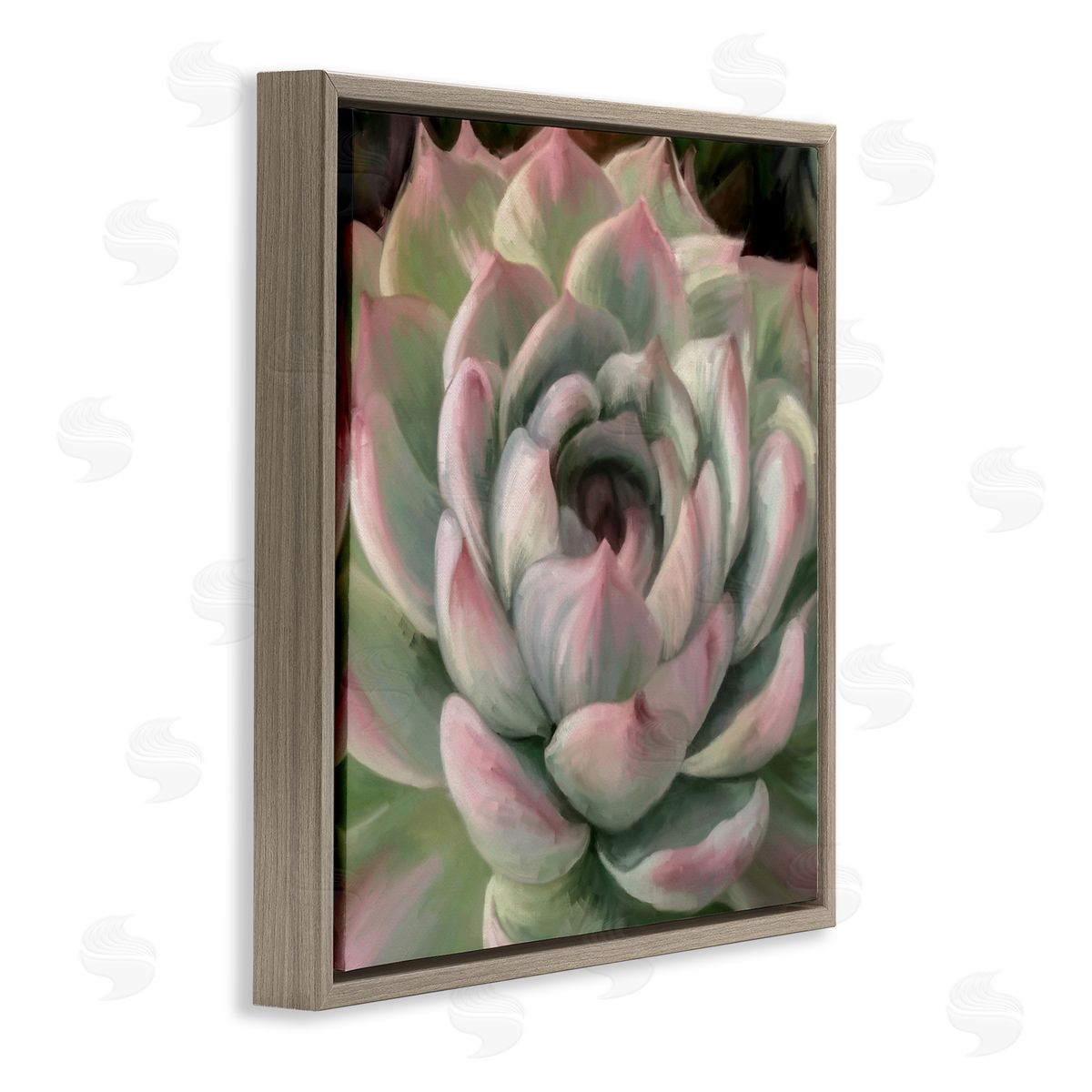 Amy Hall Succulent Leaves Close Up Brown Floating Frame Canvas Wall Art Print