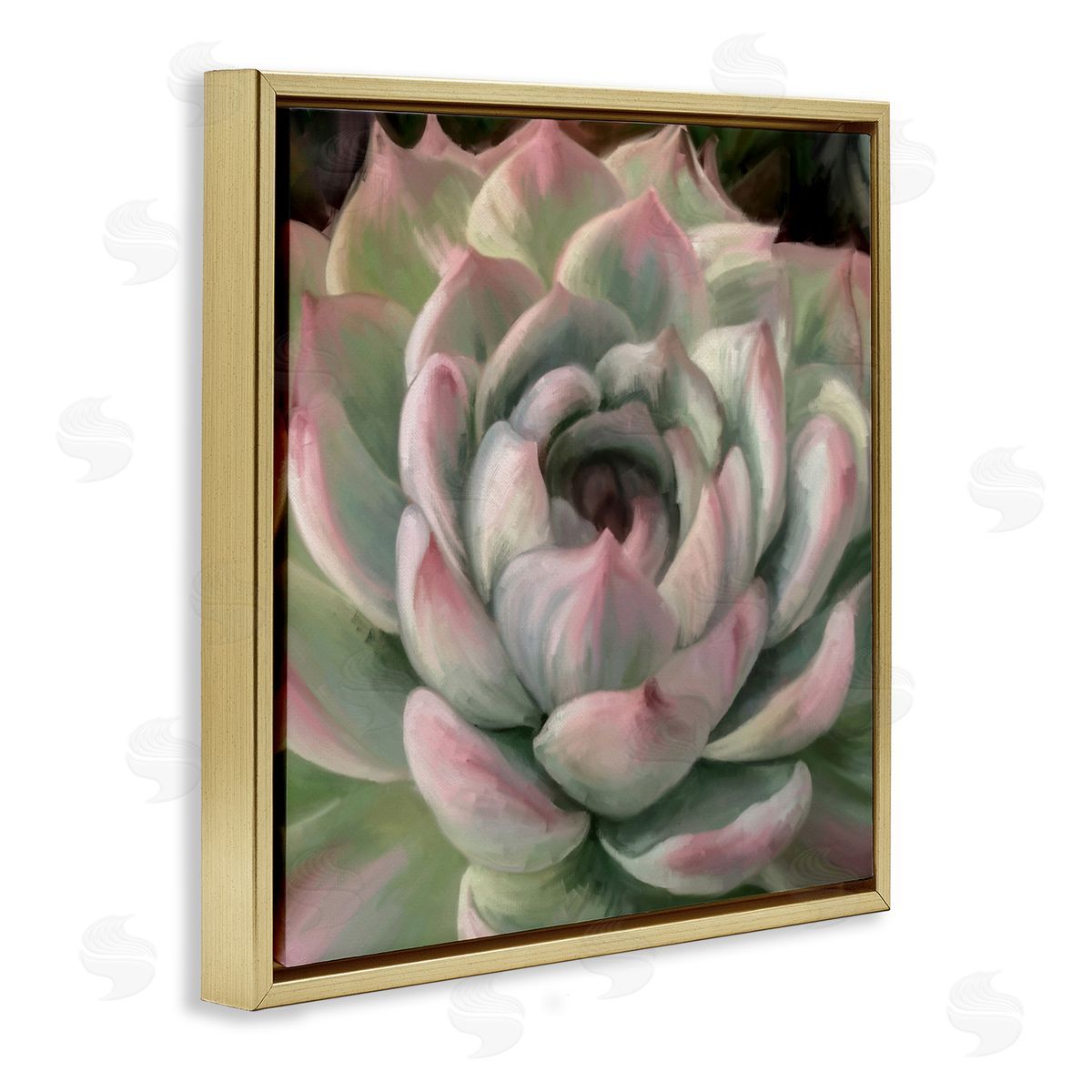 Amy Hall Succulent Leaves Close Up Gold Floating Frame Canvas Wall Art Print