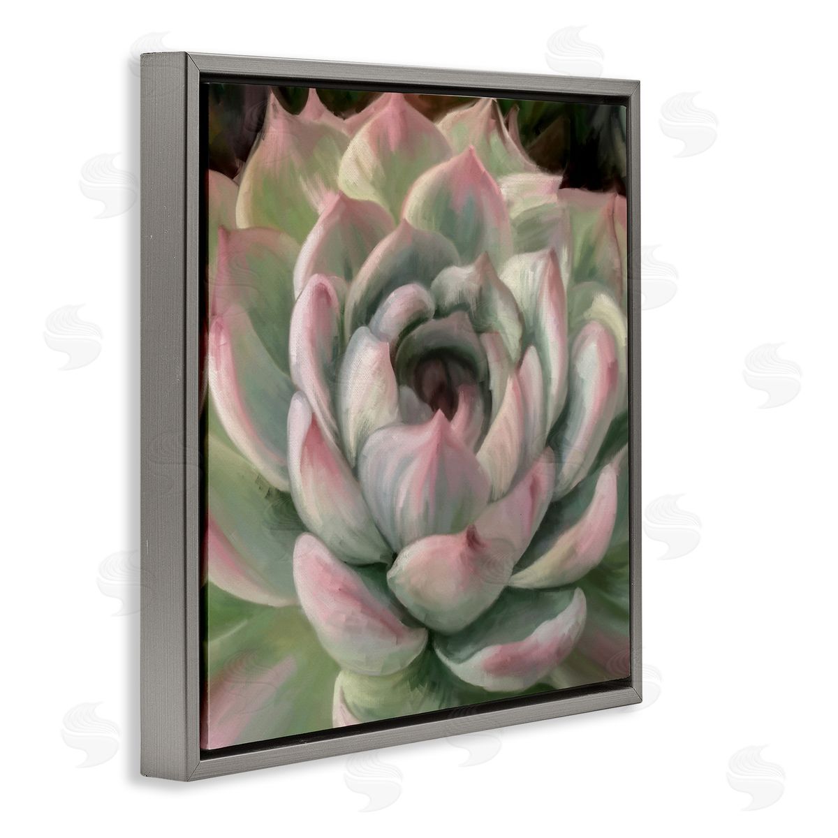 Amy Hall Succulent Leaves Close Up Gray Floating Frame Canvas Wall Art Print