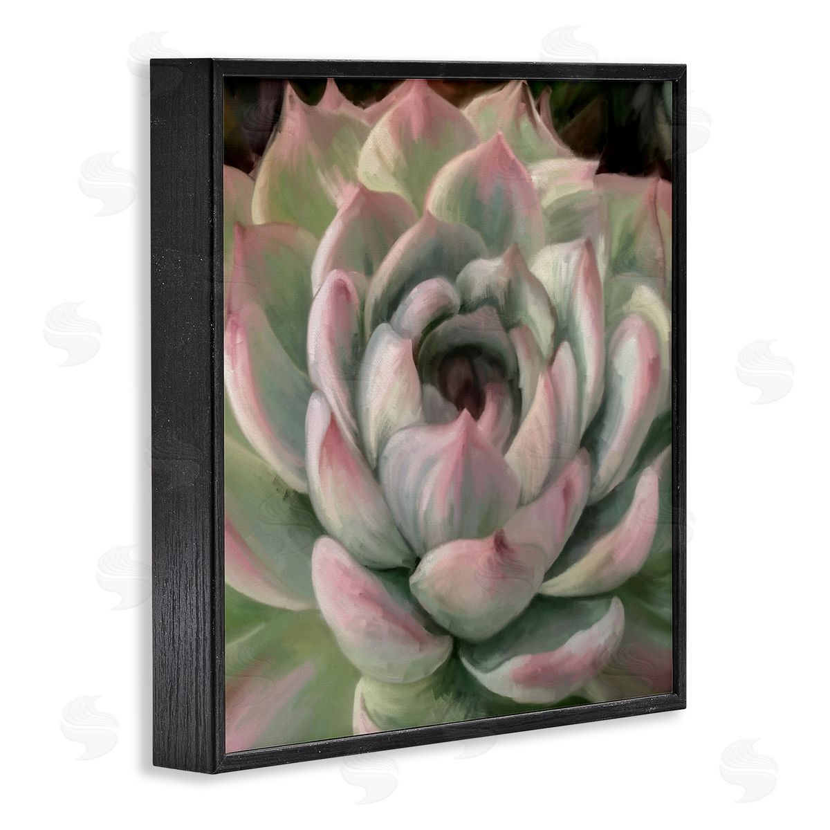 Amy Hall Succulent Leaves Close Up Black Framed Glicee Wall Art Print