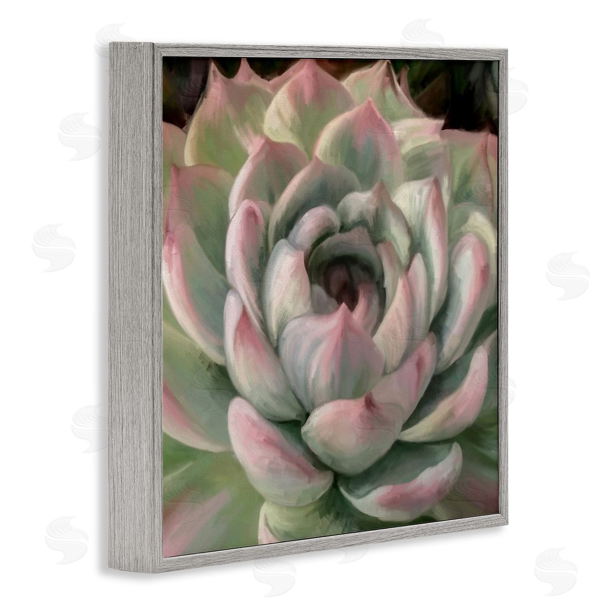 Amy Hall Succulent Leaves Close Up Gray Framed Glicee Wall Art Print