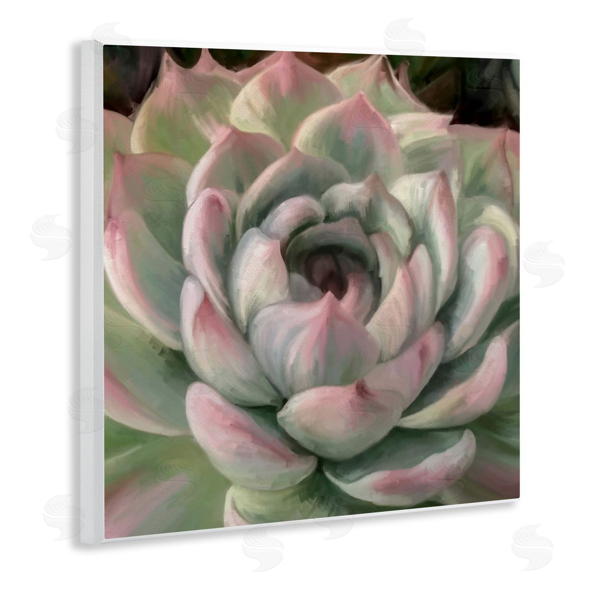 Amy Hall Succulent Leaves Close Up Wooden Wall Plaque Art Print