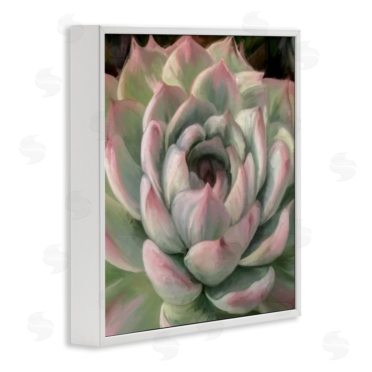 Amy Hall Succulent Leaves Close Up White Framed Glicee Wall Art Print