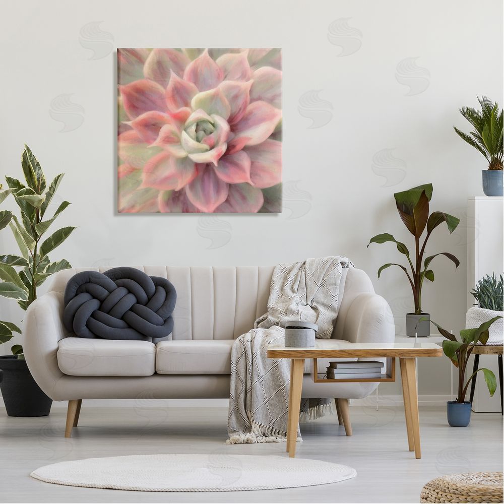 Amy Hall Pink Symmetrical Succulent Canvas Wall Art in Room