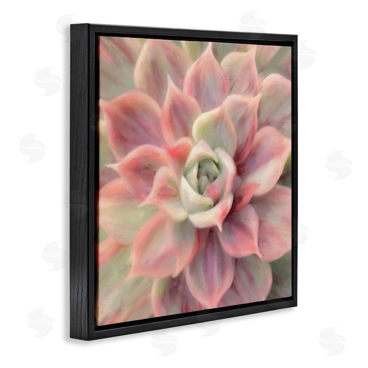 Amy Hall Pink Symmetrical Succulent Black Floating Frame Canvas Wall Art Print