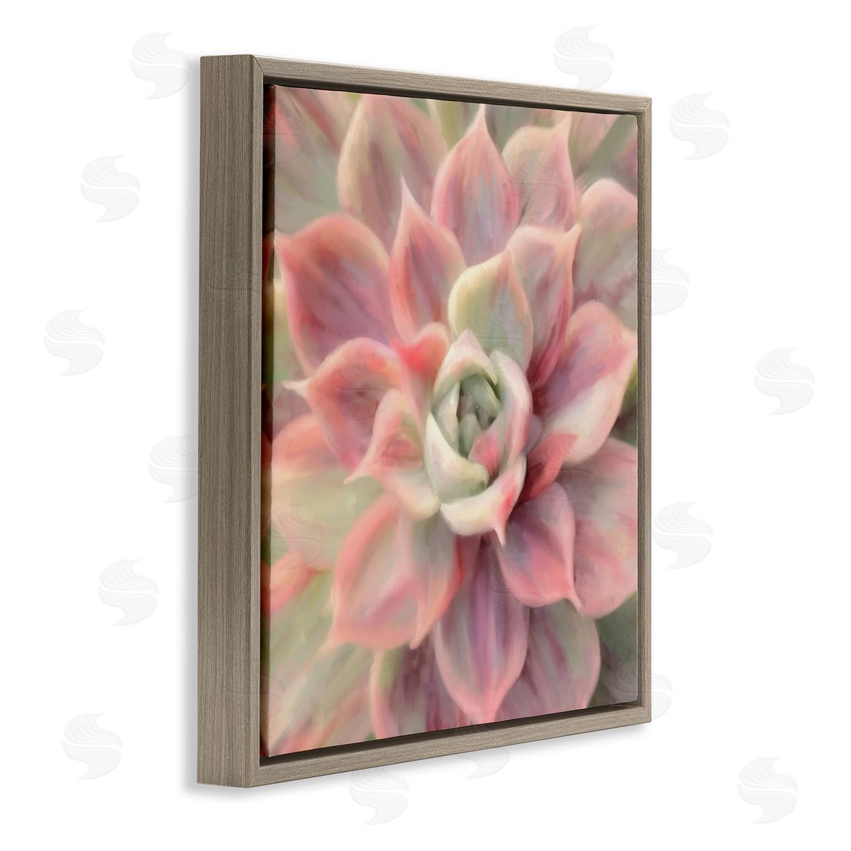 Amy Hall Pink Symmetrical Succulent Brown Floating Frame Canvas Wall Art Print
