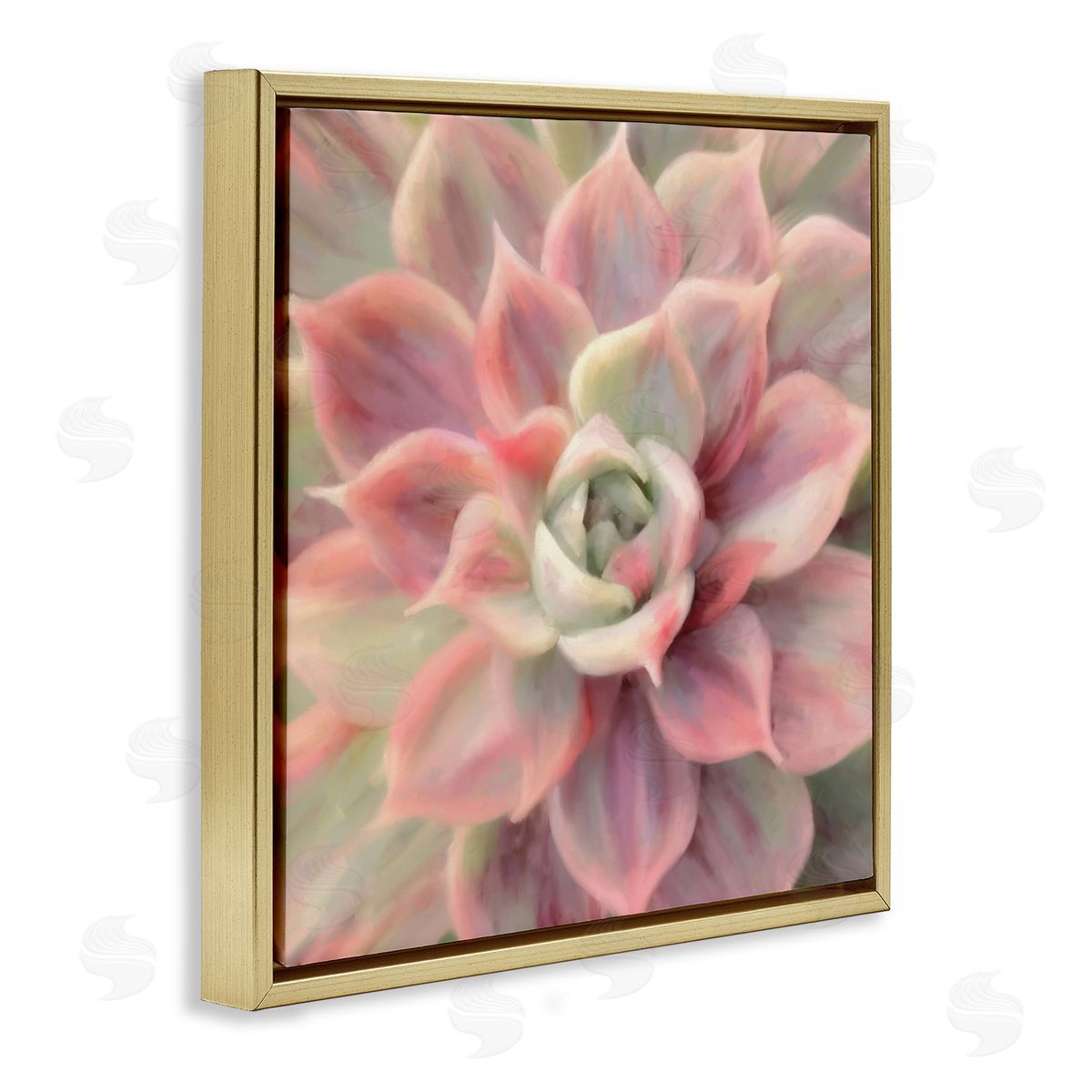 Amy Hall Pink Symmetrical Succulent Gold Floating Frame Canvas Wall Art Print
