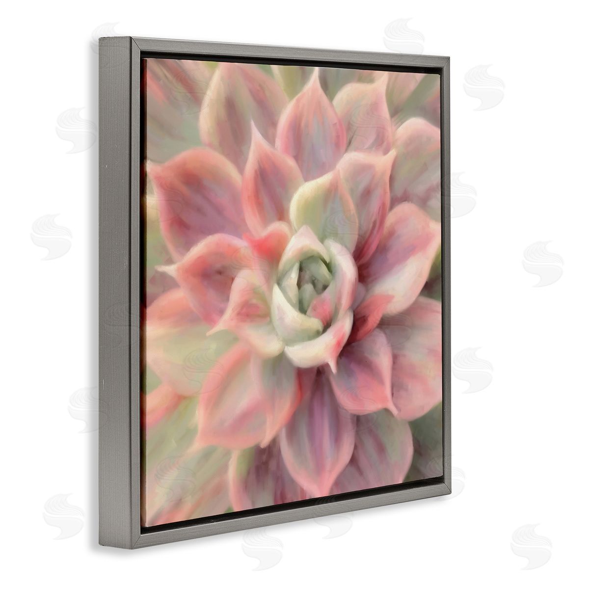 Amy Hall Pink Symmetrical Succulent Gray Floating Frame Canvas Wall Art Print