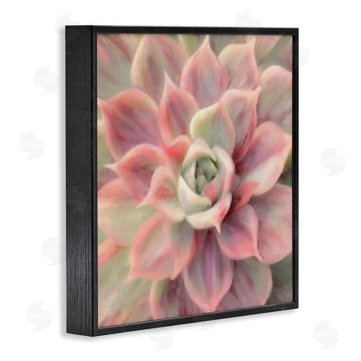 Amy Hall Pink Symmetrical Succulent Black Framed Glicee Wall Art Print