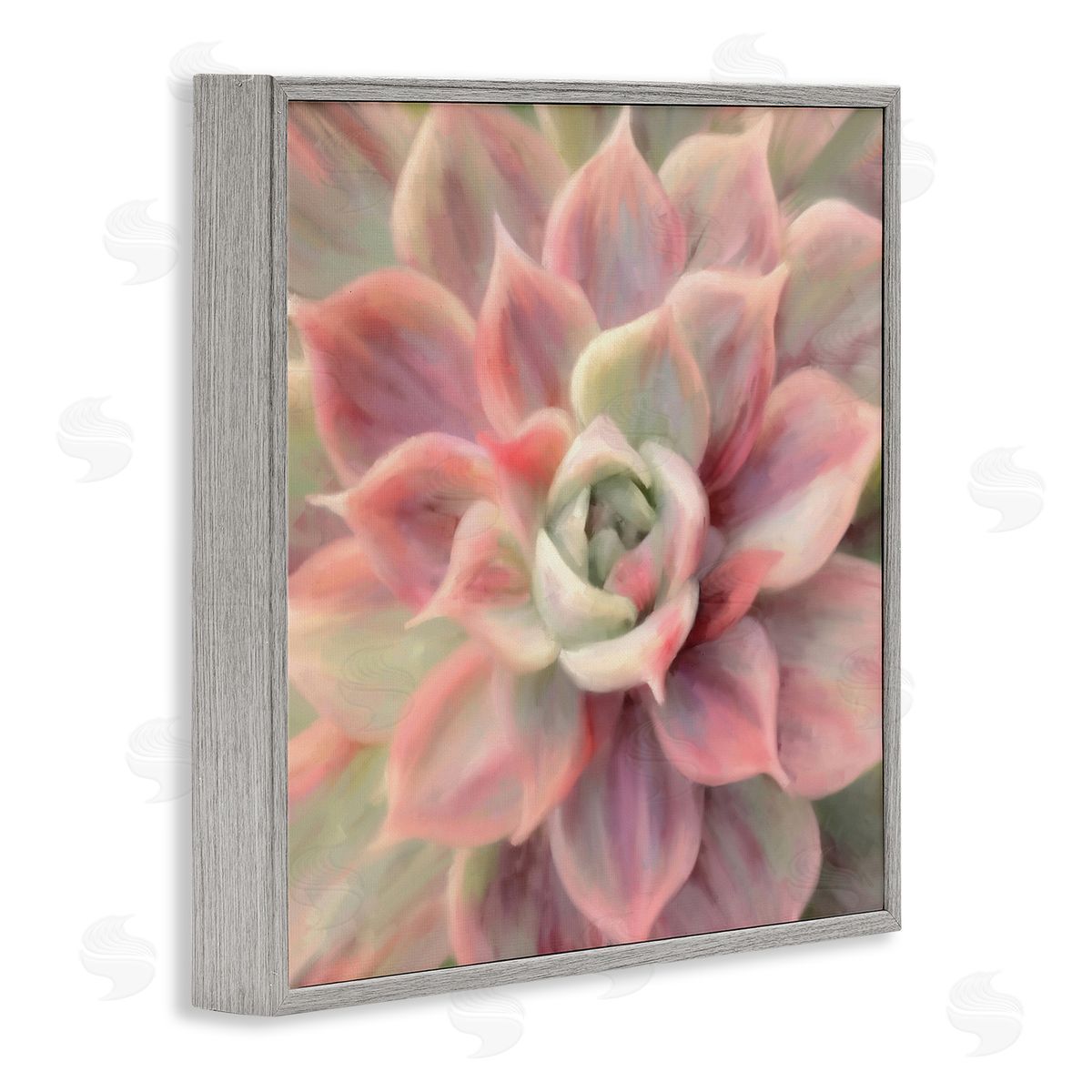 Amy Hall Pink Symmetrical Succulent Gray Framed Glicee Wall Art Print