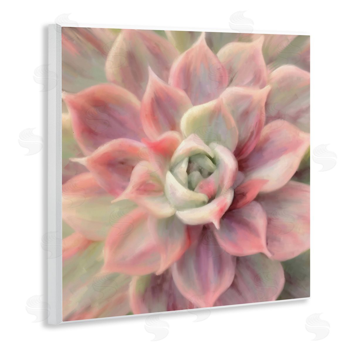 Amy Hall Pink Symmetrical Succulent Wooden Wall Plaque Art Print