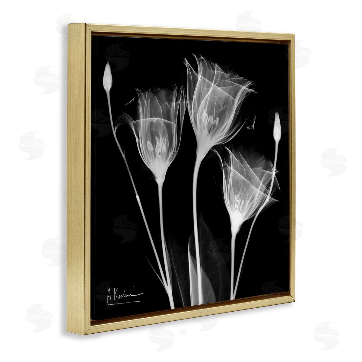 Albert Koetsier Contemporary Tulip X-Ray Gold Floating Frame Canvas Wall Art Print