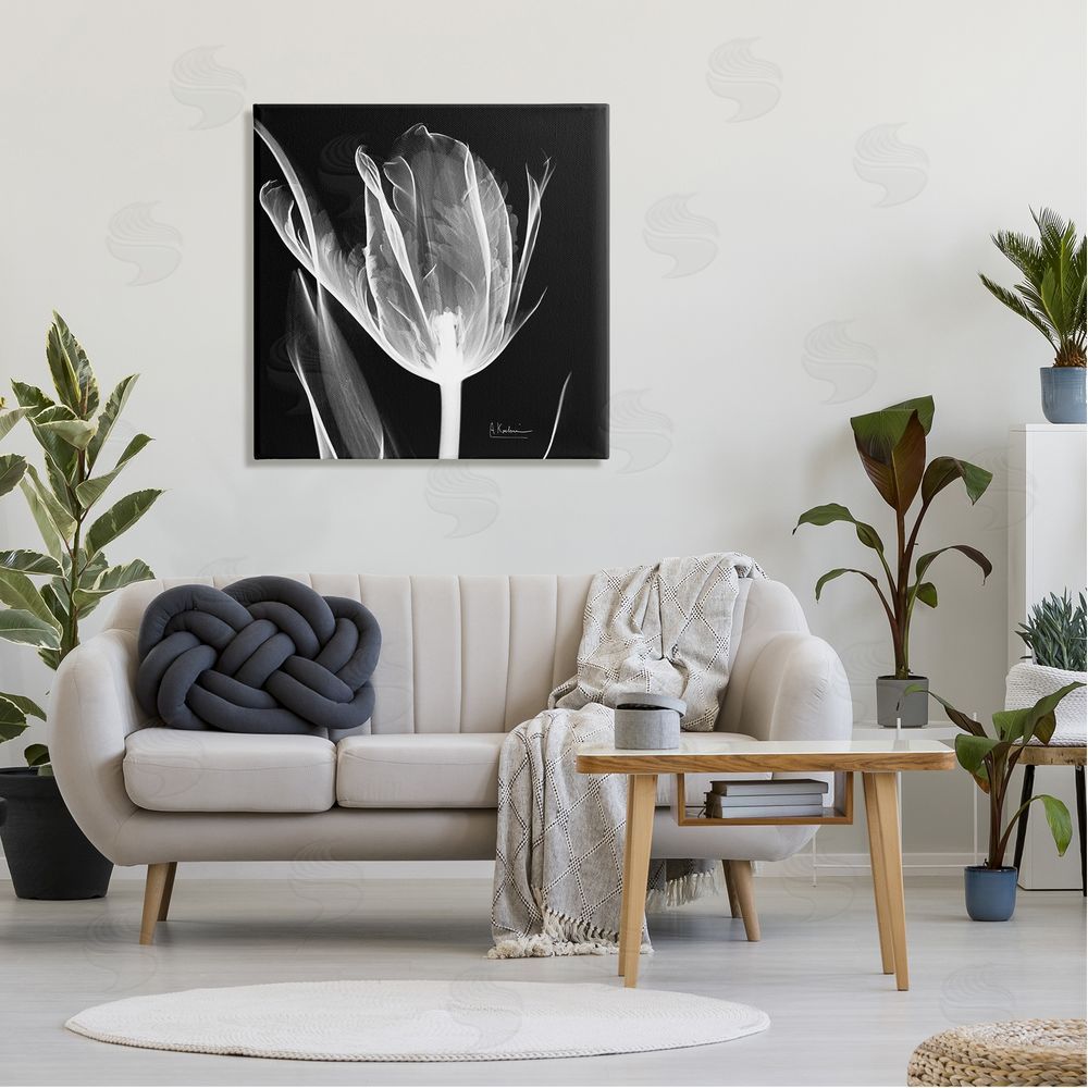 Albert Koetsier Flower X-Ray on Black Canvas Wall Art in Room
