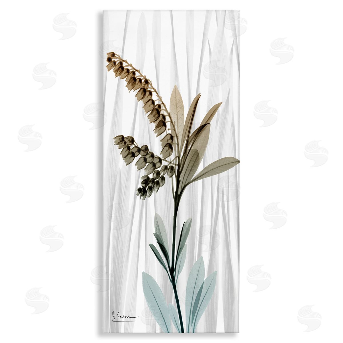 Albert Koetsier Modern Snowd_siderops Flower