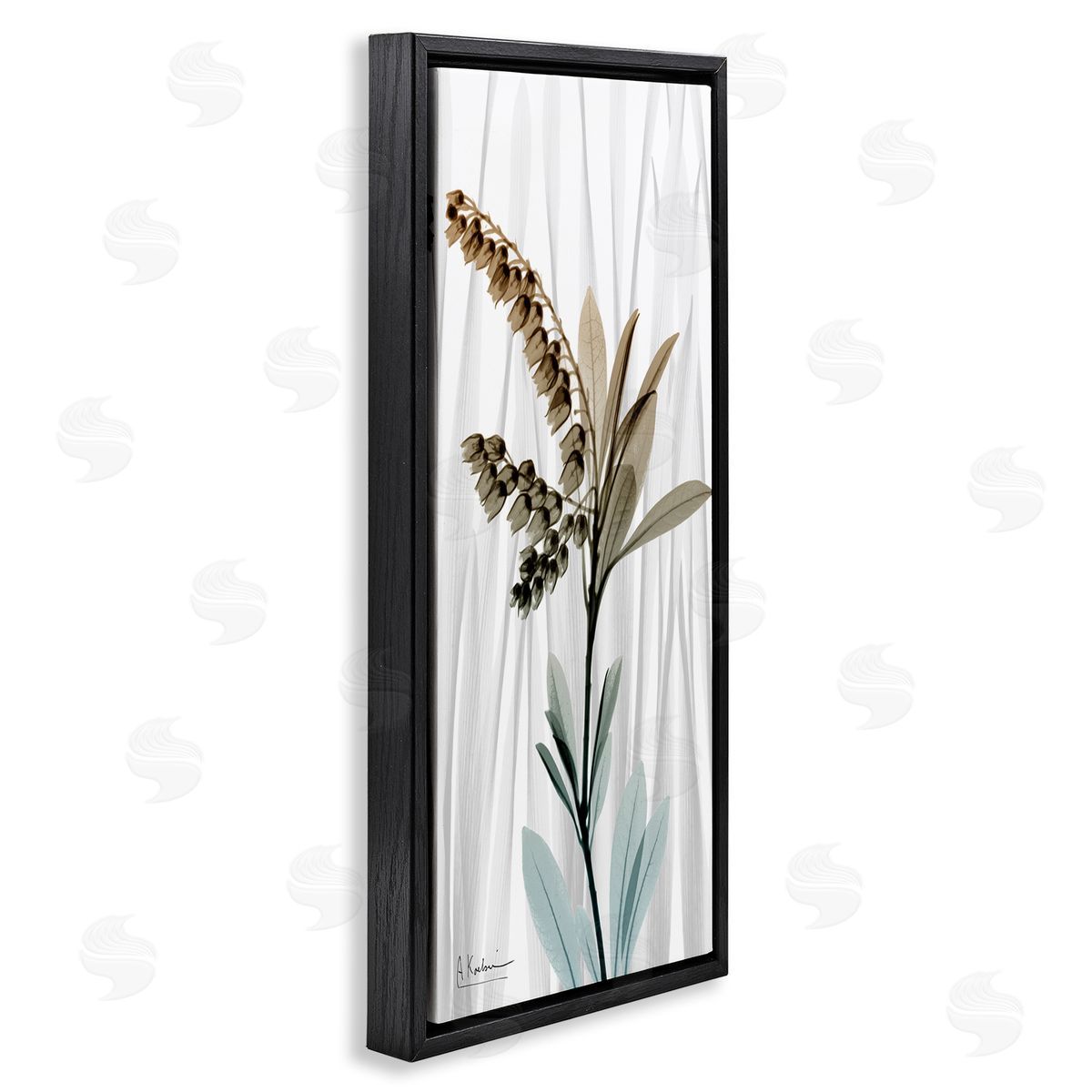 Albert Koetsier Modern Snowd_siderops Flower