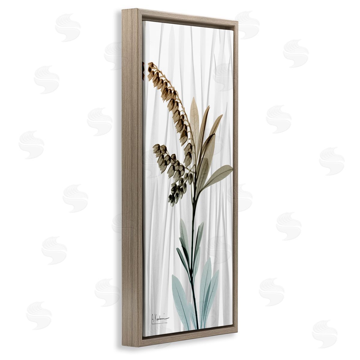 Albert Koetsier Modern Snowd_siderops Flower