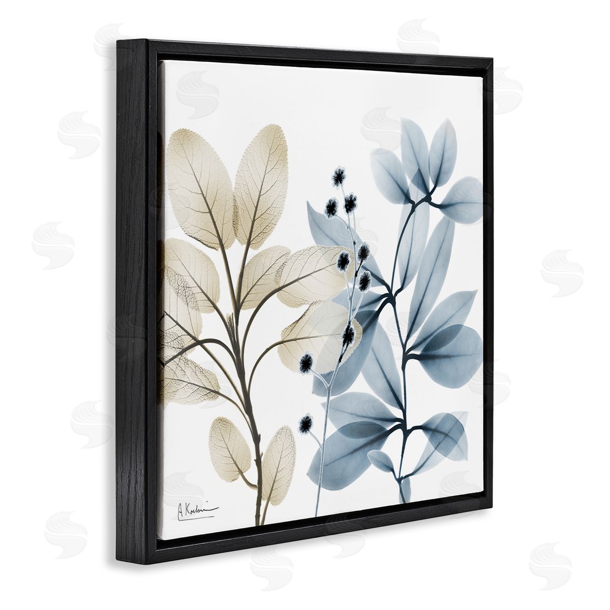 Albert Koetsier Blue & Beige Plants Black Floating Frame Canvas Wall Art Print