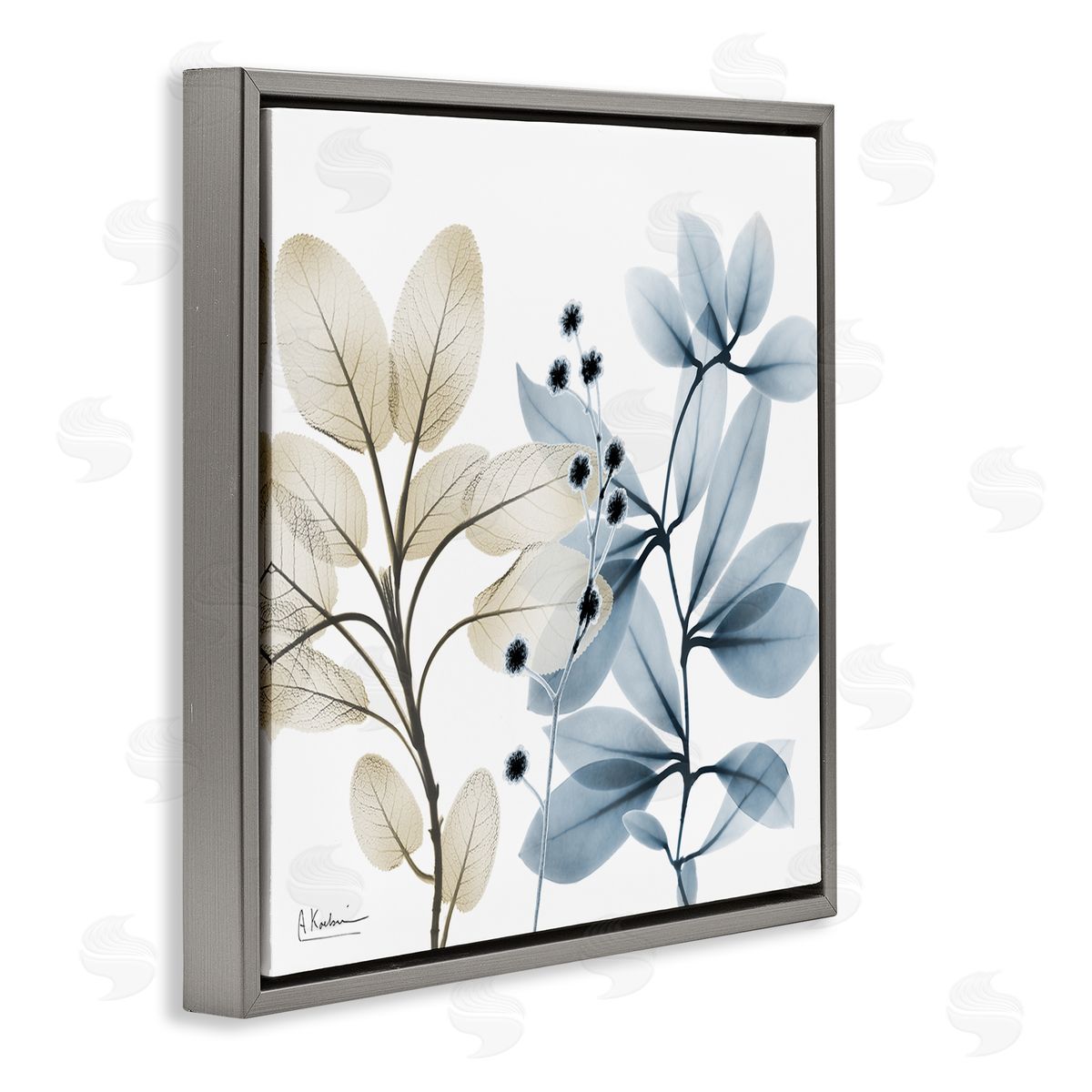 Albert Koetsier Blue & Beige Plants Gray Floating Frame Canvas Wall Art Print