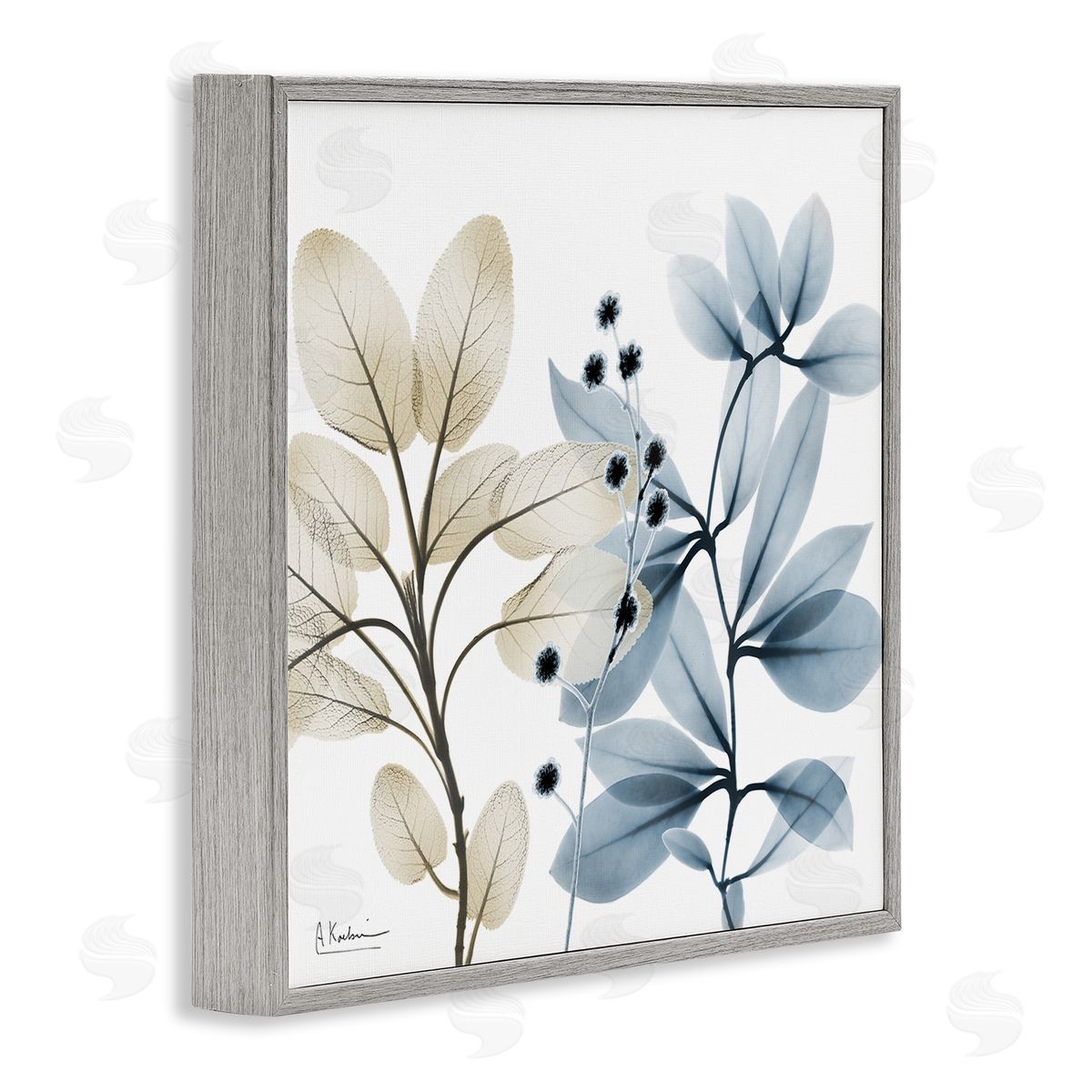 Albert Koetsier Blue & Beige Plants Gray Framed Glicee Wall Art Print