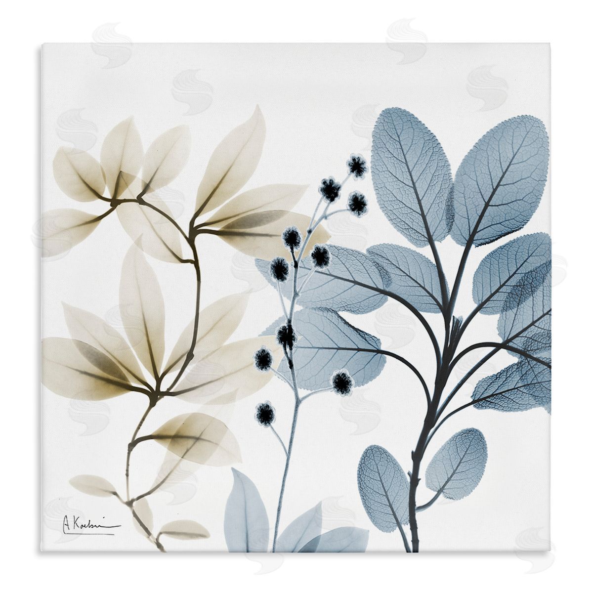 Modern Herb Sprigs Canvas Wall Art, Home Decor by Albert Koetsier