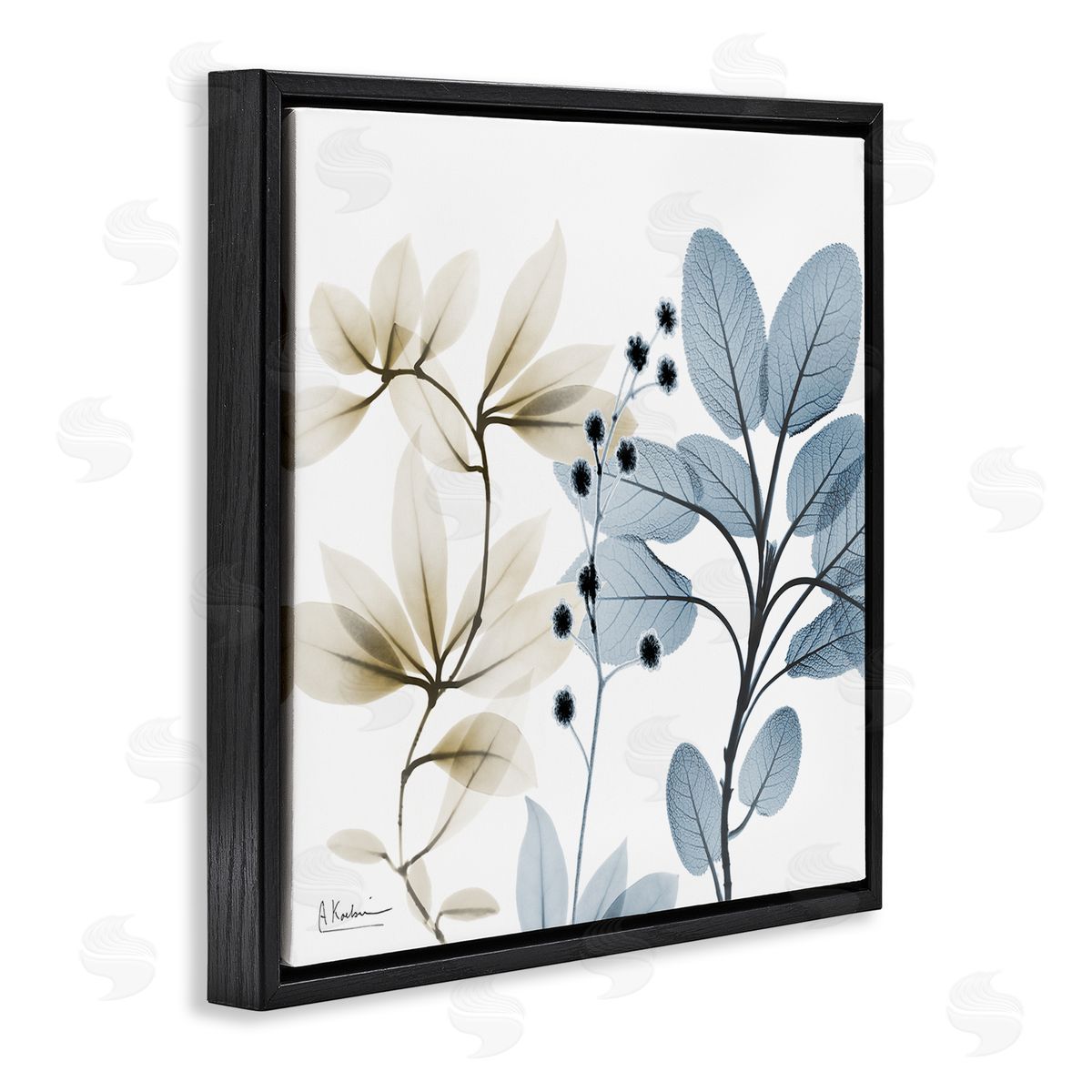 Modern Herb Sprigs Black Floating Frame Canvas Wall Art, Home Decor by Albert Koetsier