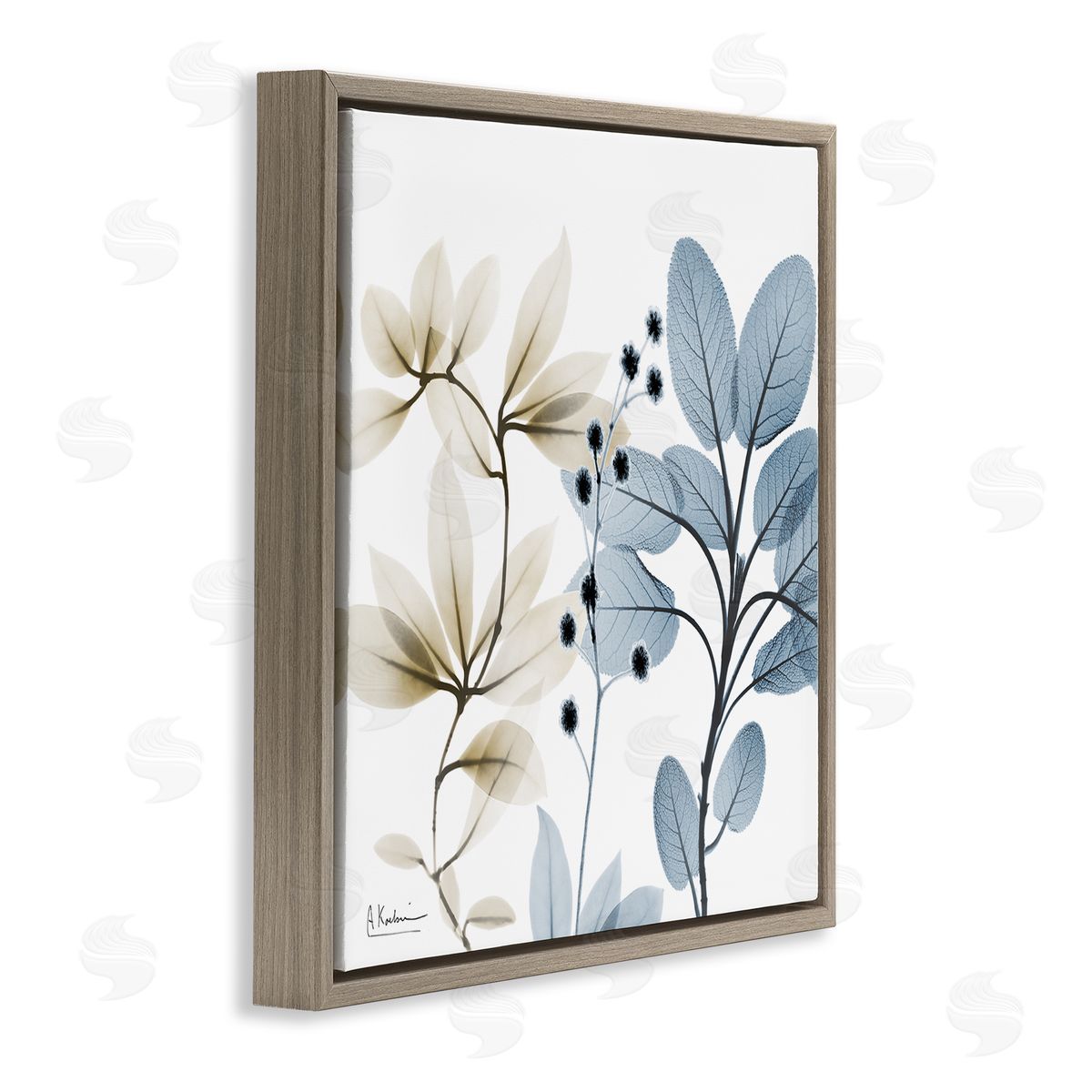 Modern Herb Sprigs Brown Floating Frame Canvas Wall Art, Home Decor by Albert Koetsier