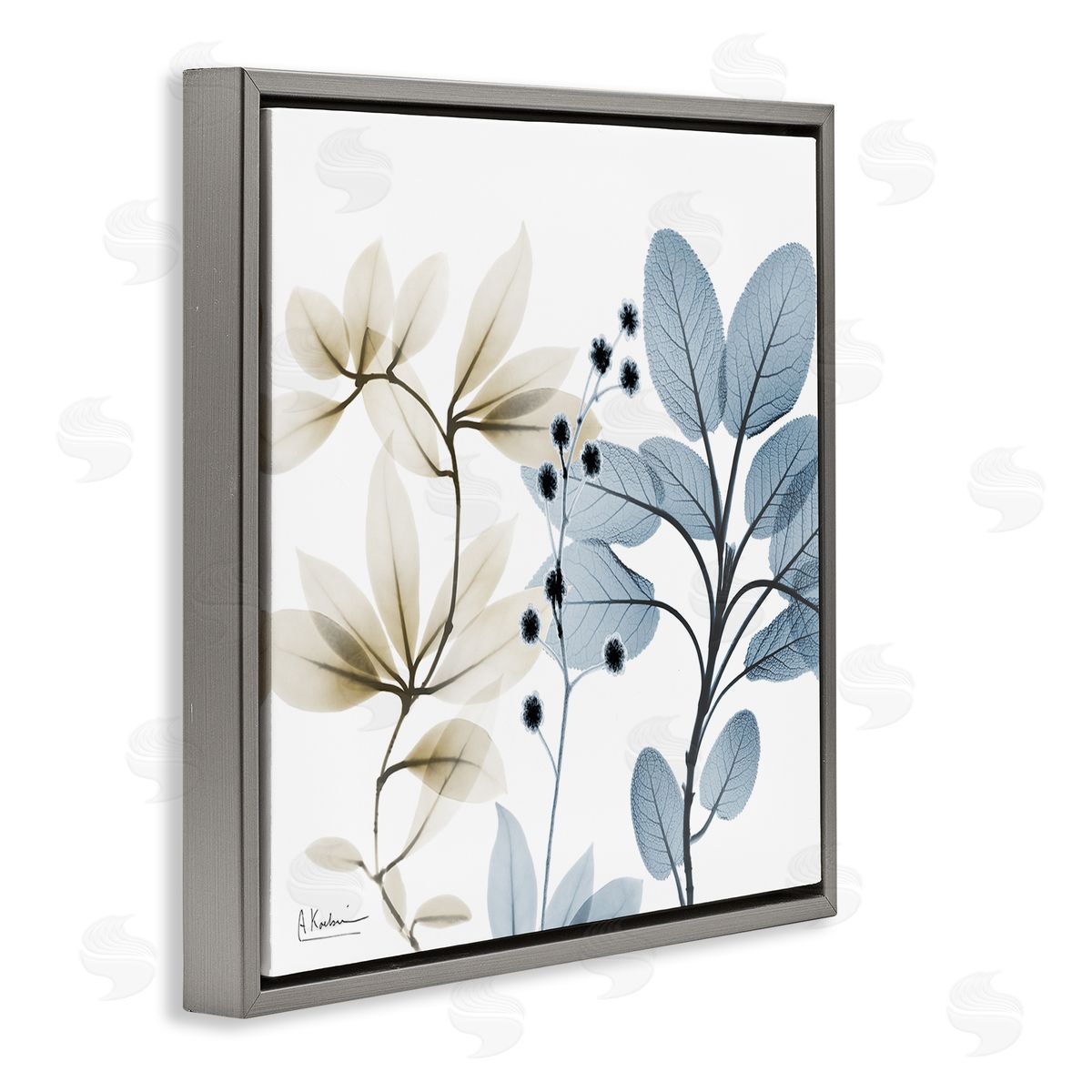 Modern Herb Sprigs Grey Floating Frame Canvas Wall Art, Home Decor by Albert Koetsier