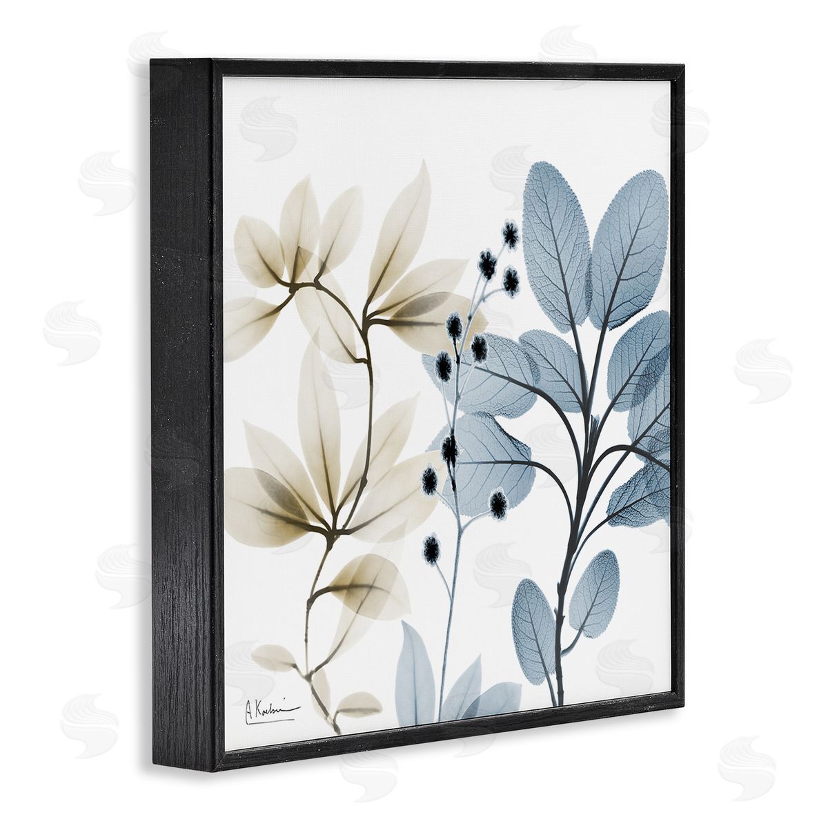 Modern Herb Sprigs Black Frame Print Wall Art, Home Decor by Albert Koetsier