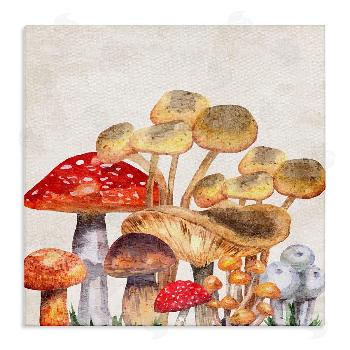 Kim Allen Mixed Woodland Mushrooms Stretched Canvas Wall Art Print