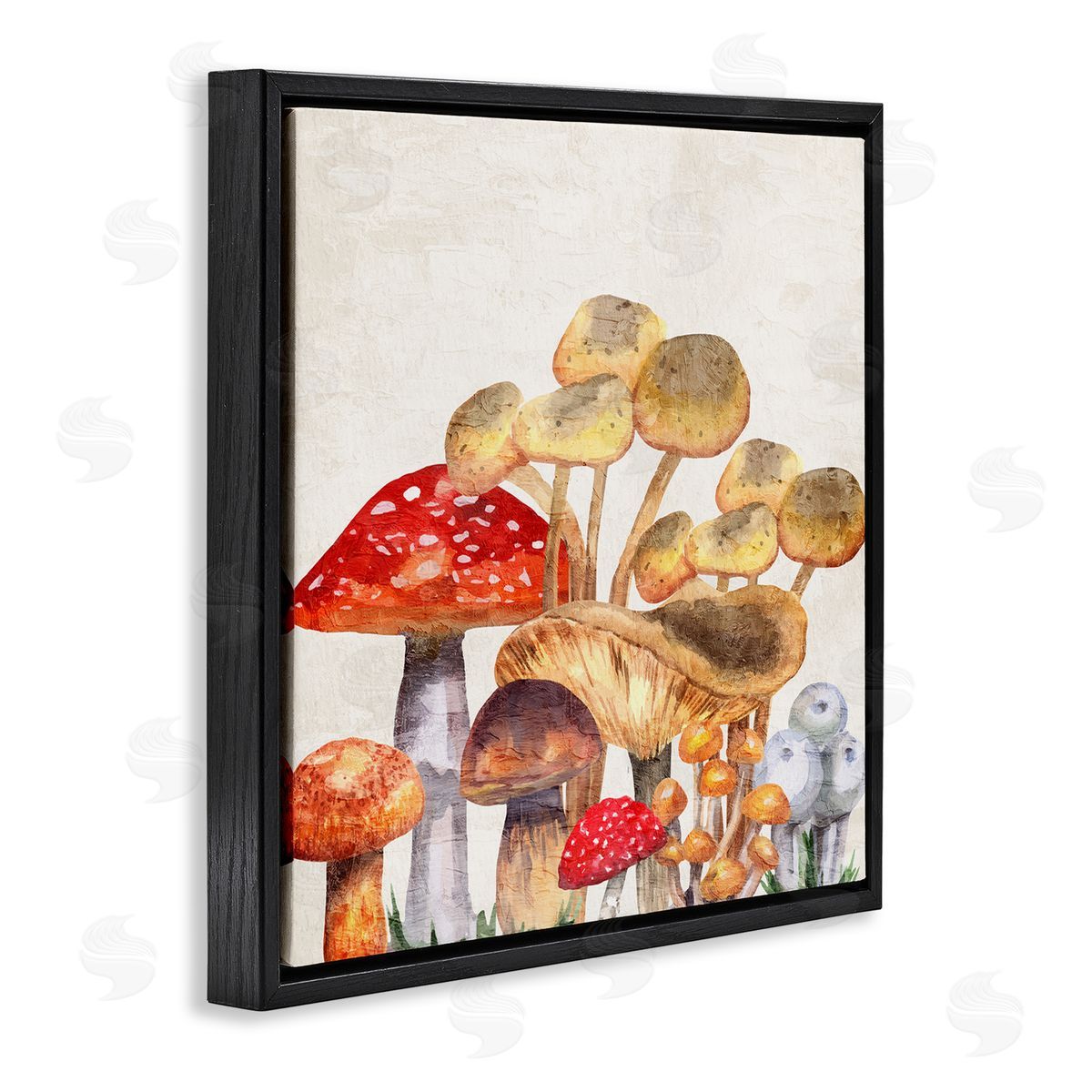 Kim Allen Mixed Woodland Mushrooms Black Floating Frame Canvas Wall Art Print