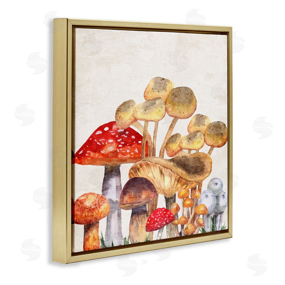 Kim Allen Mixed Woodland Mushrooms Gold Floating Frame Canvas Wall Art Print