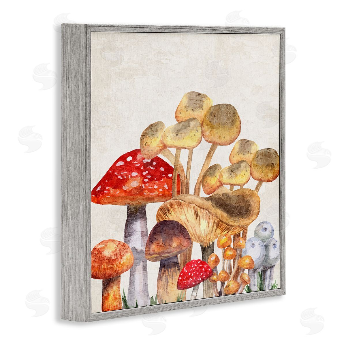 Kim Allen Mixed Woodland Mushrooms Gray Framed Glicee Wall Art Print