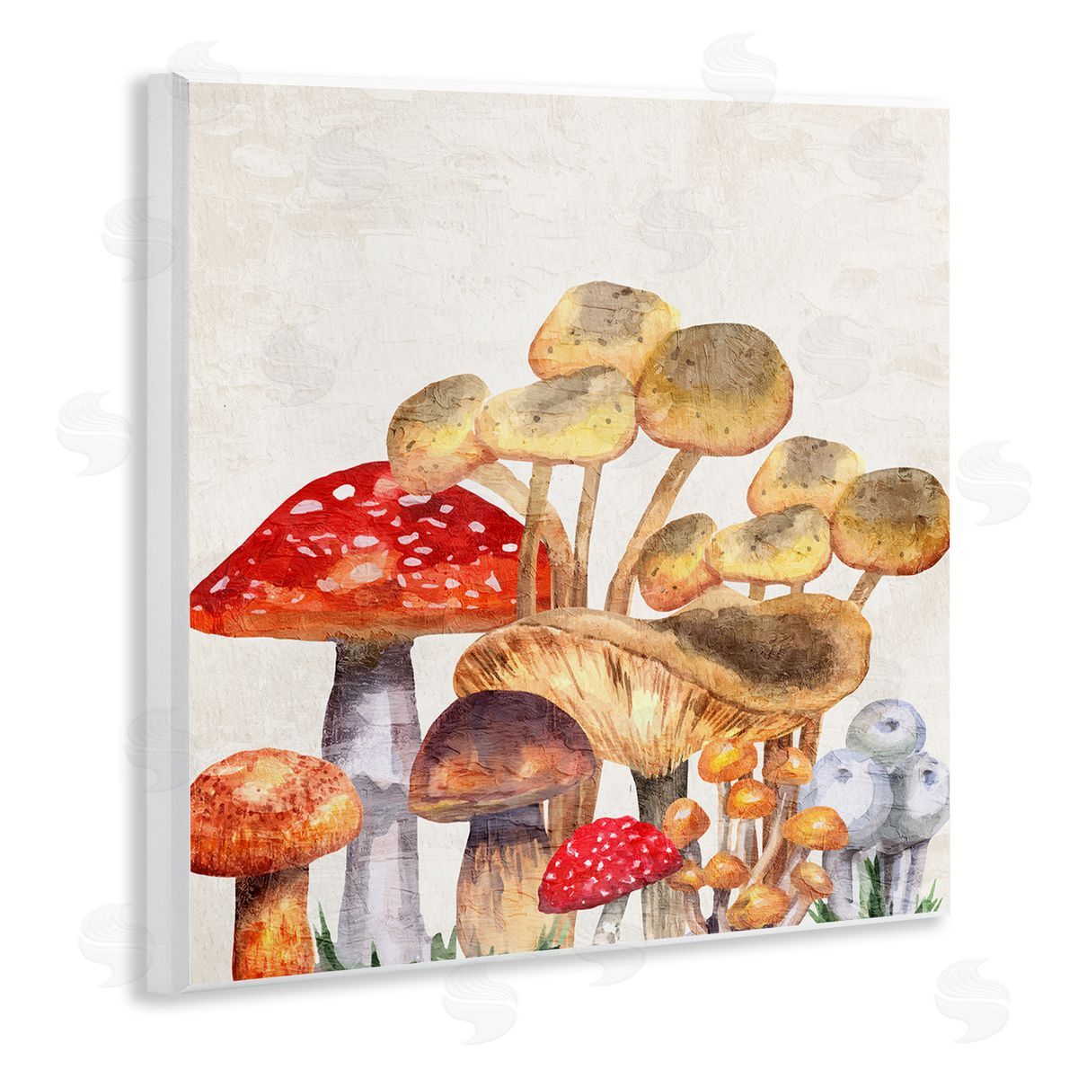 Kim Allen Mixed Woodland Mushrooms Wooden Wall Plaque Art Print