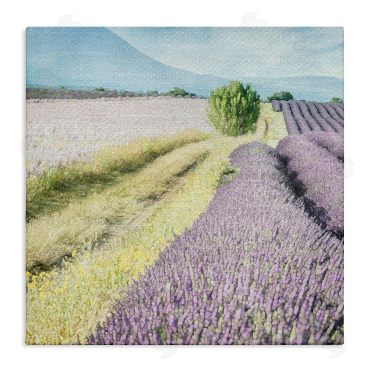 LSR Design Studio Country Lavender Fields Stretched Canvas Wall Art Print