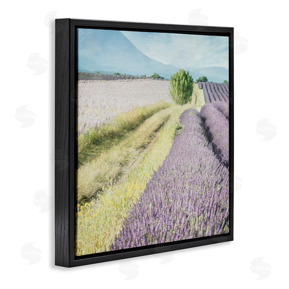 LSR Design Studio Country Lavender Fields Black Floating Frame Canvas Wall Art Print