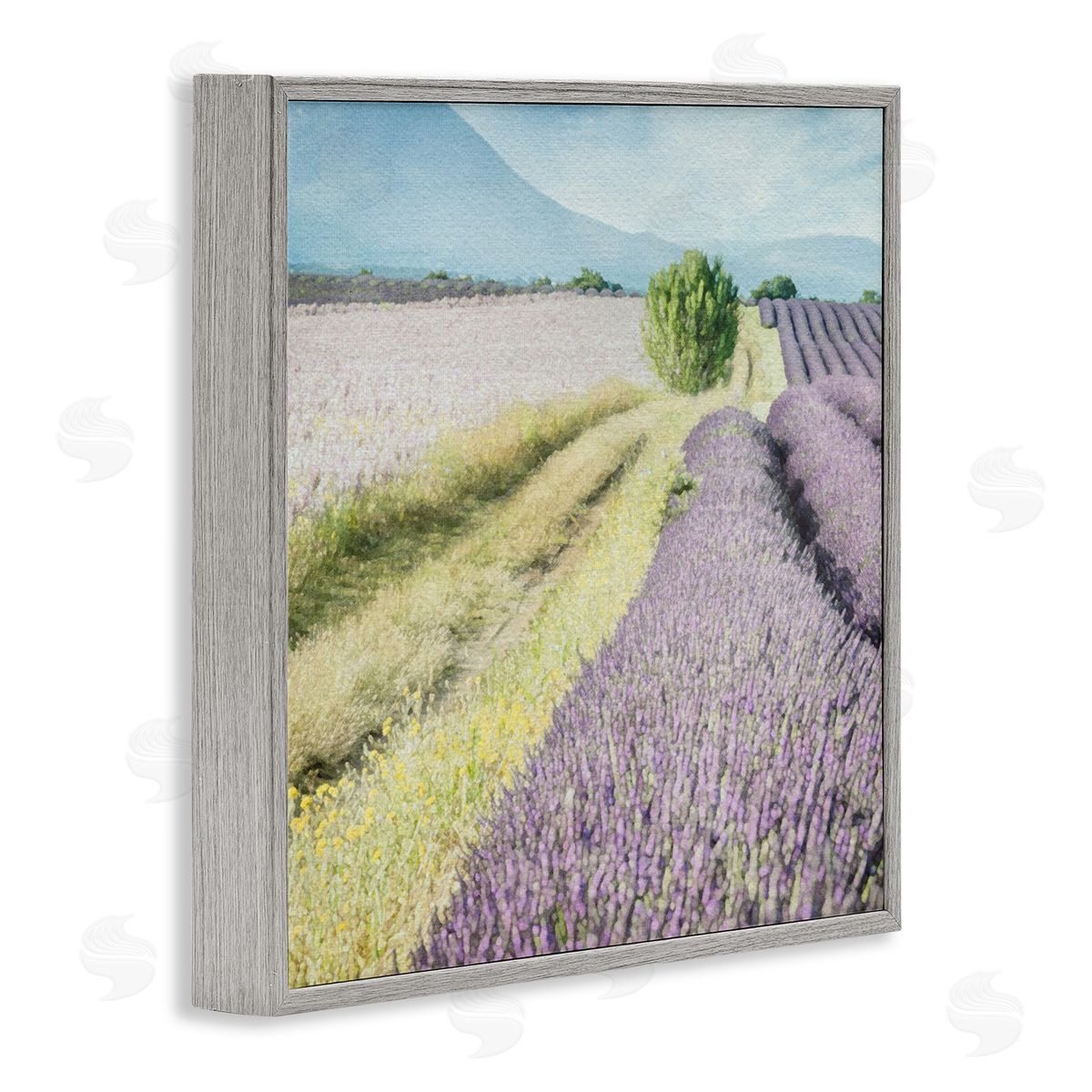 LSR Design Studio Country Lavender Fields Gray Framed Glicee Wall Art Print