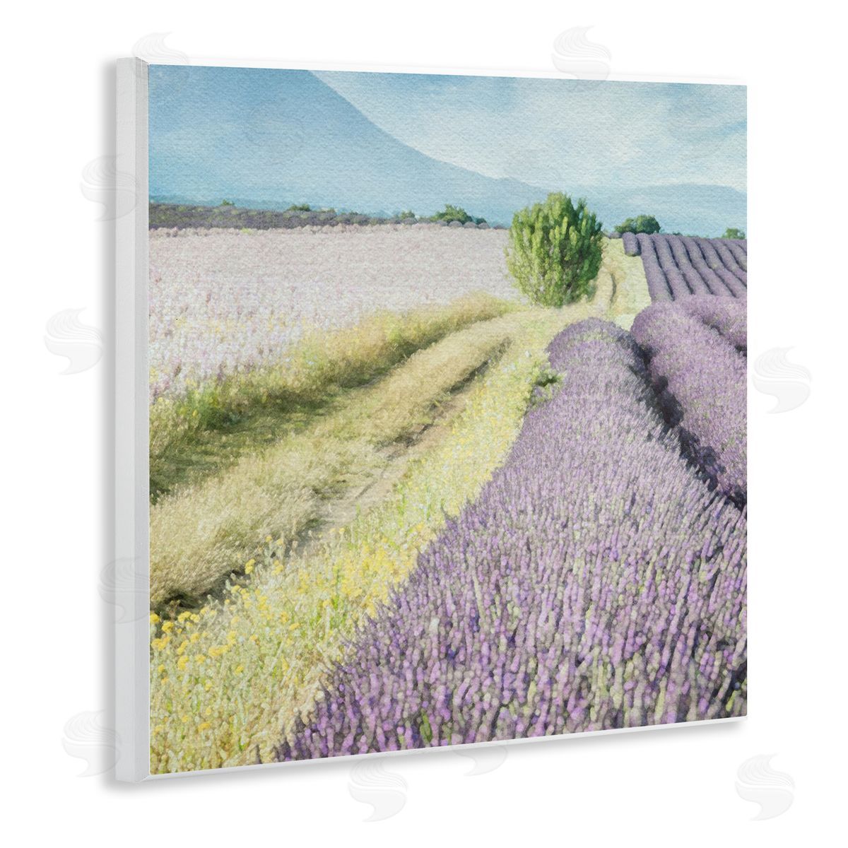 LSR Design Studio Country Lavender Fields Wooden Wall Plaque Art Print