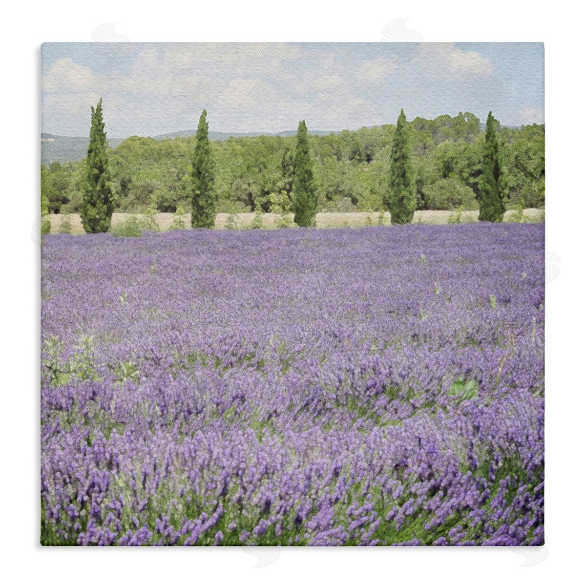 LSR Design Studio Country Lavender Meadow Stretched Canvas Wall Art Print