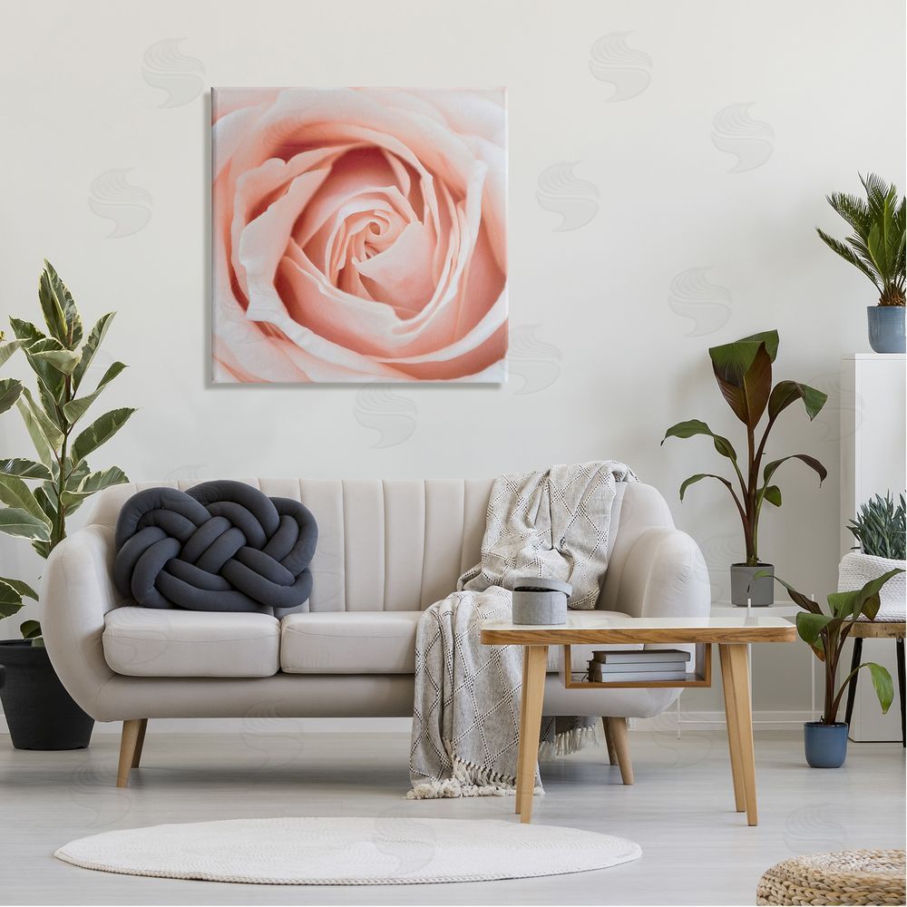 LSR Design Studio Pink Close Up Rose Canvas Wall Art in Room