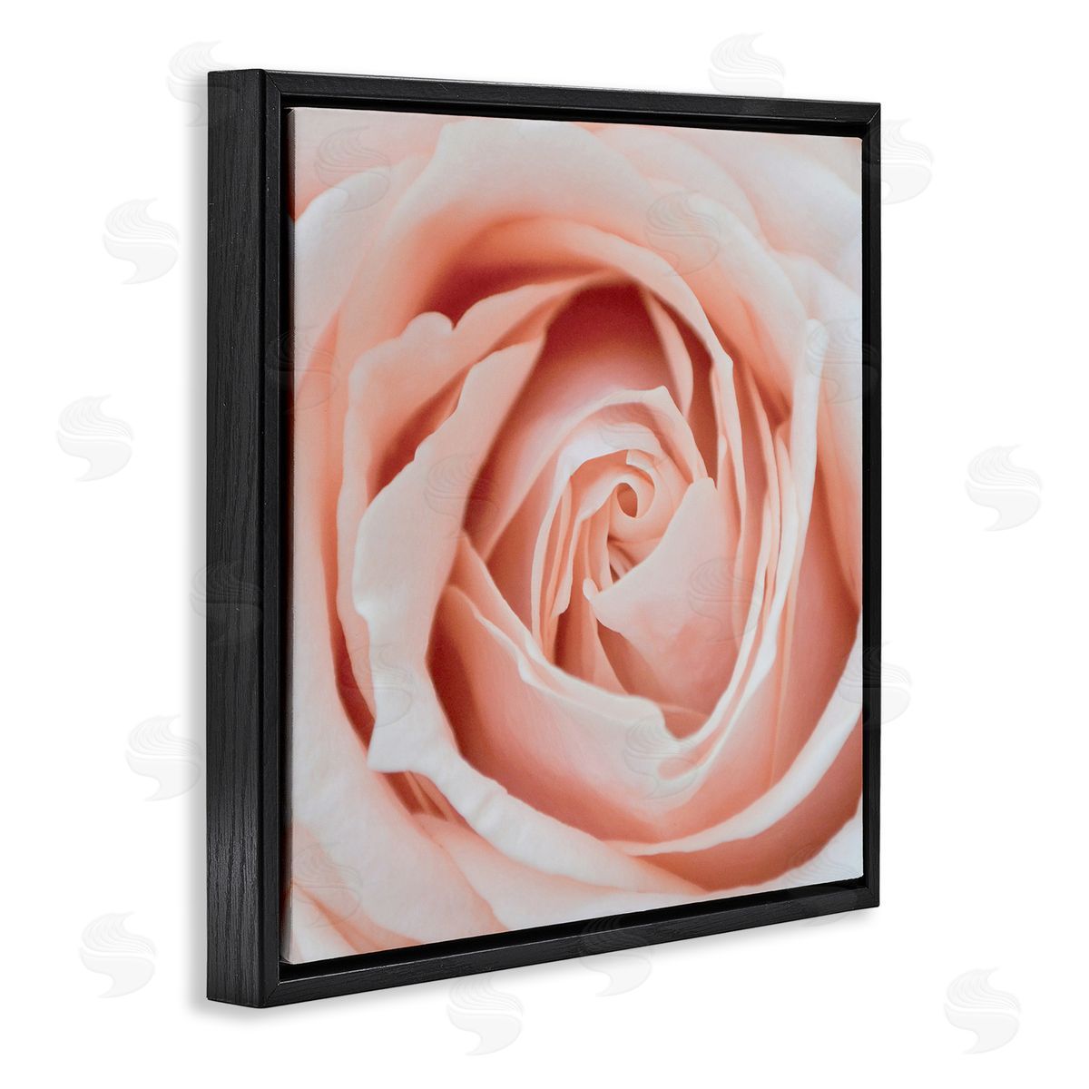 LSR Design Studio Pink Close Up Rose Black Floating Frame Canvas Wall Art Print