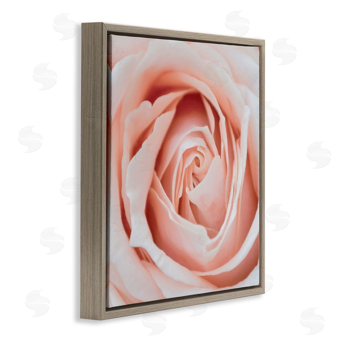 LSR Design Studio Pink Close Up Rose Brown Floating Frame Canvas Wall Art Print
