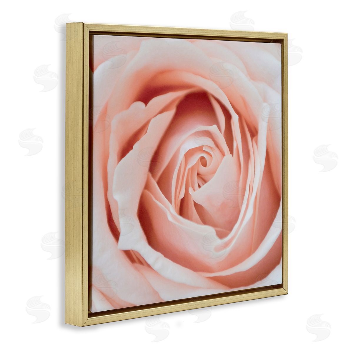 LSR Design Studio Pink Close Up Rose Gold Floating Frame Canvas Wall Art Print