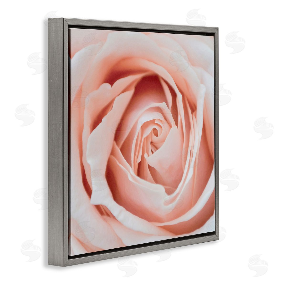LSR Design Studio Pink Close Up Rose Gray Floating Frame Canvas Wall Art Print