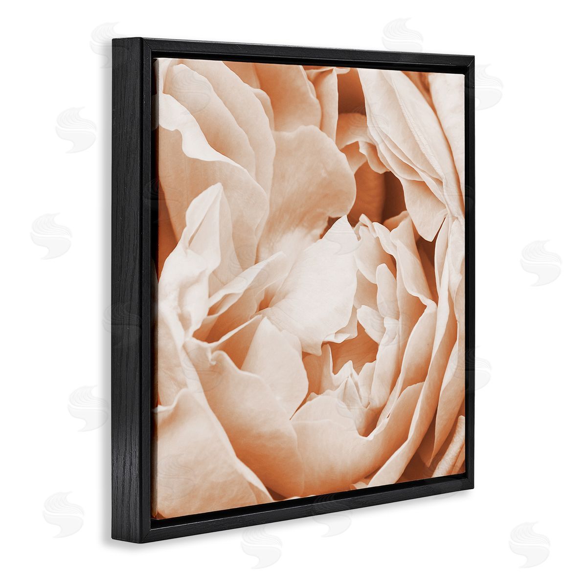 LSR Design Studio Pastel Pink Peony Petals Black Floating Frame Canvas Wall Art Print