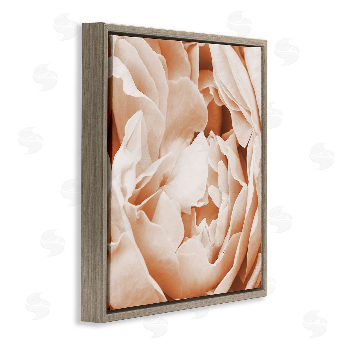 LSR Design Studio Pastel Pink Peony Petals Brown Floating Frame Canvas Wall Art Print