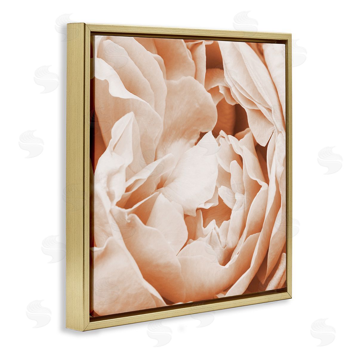 LSR Design Studio Pastel Pink Peony Petals Gold Floating Frame Canvas Wall Art Print
