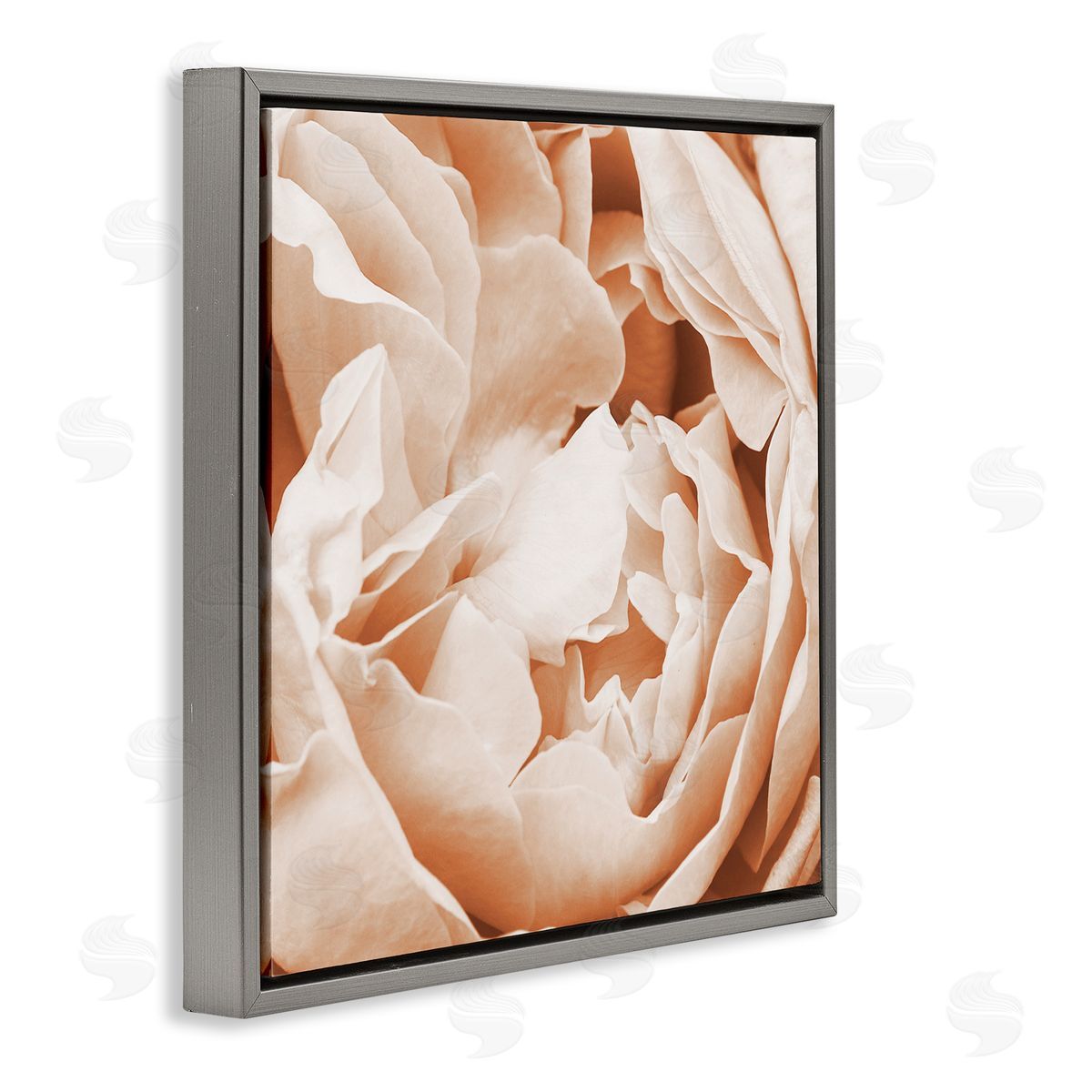 LSR Design Studio Pastel Pink Peony Petals Gray Floating Frame Canvas Wall Art Print